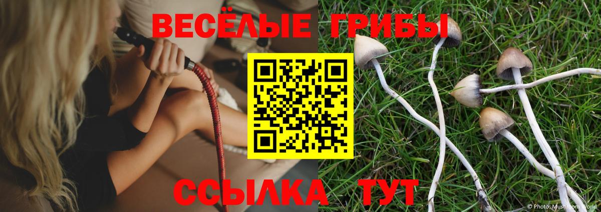 Лсд 25 Казань